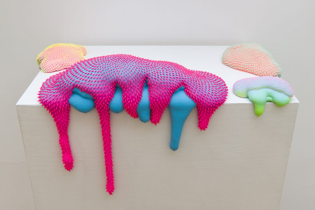 Dan Lam "Bait" installation view
