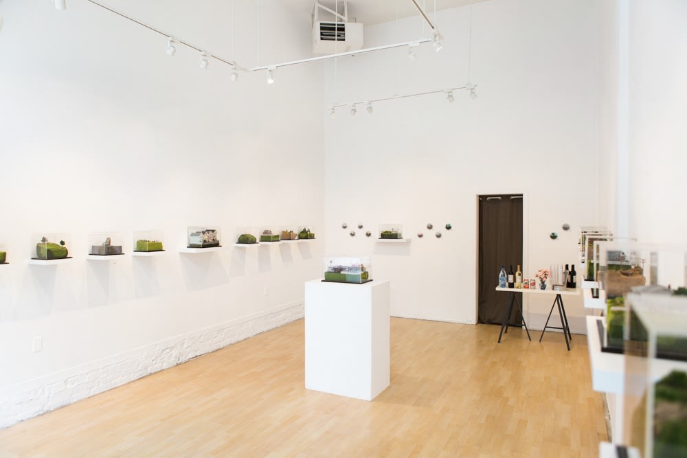 Abigail Goldman installation