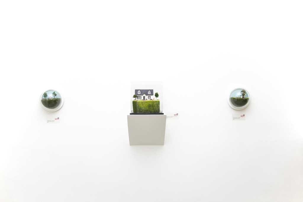 Abigail Goldman installation