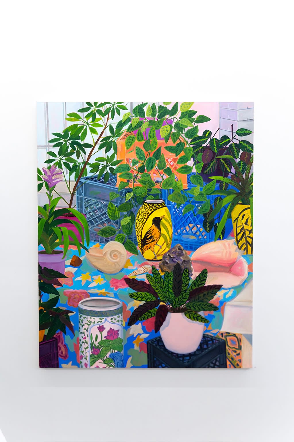 Anna Valdez "Natural Curiosity" installation