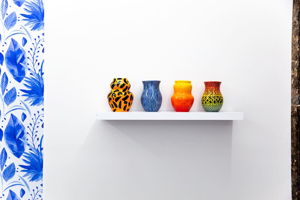 Anna Valdez "Natural Curiosity" installation
