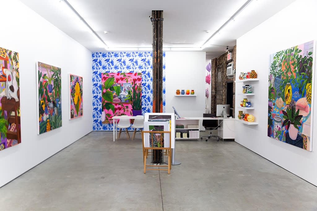 Anna Valdez "Natural Curiosity" installation