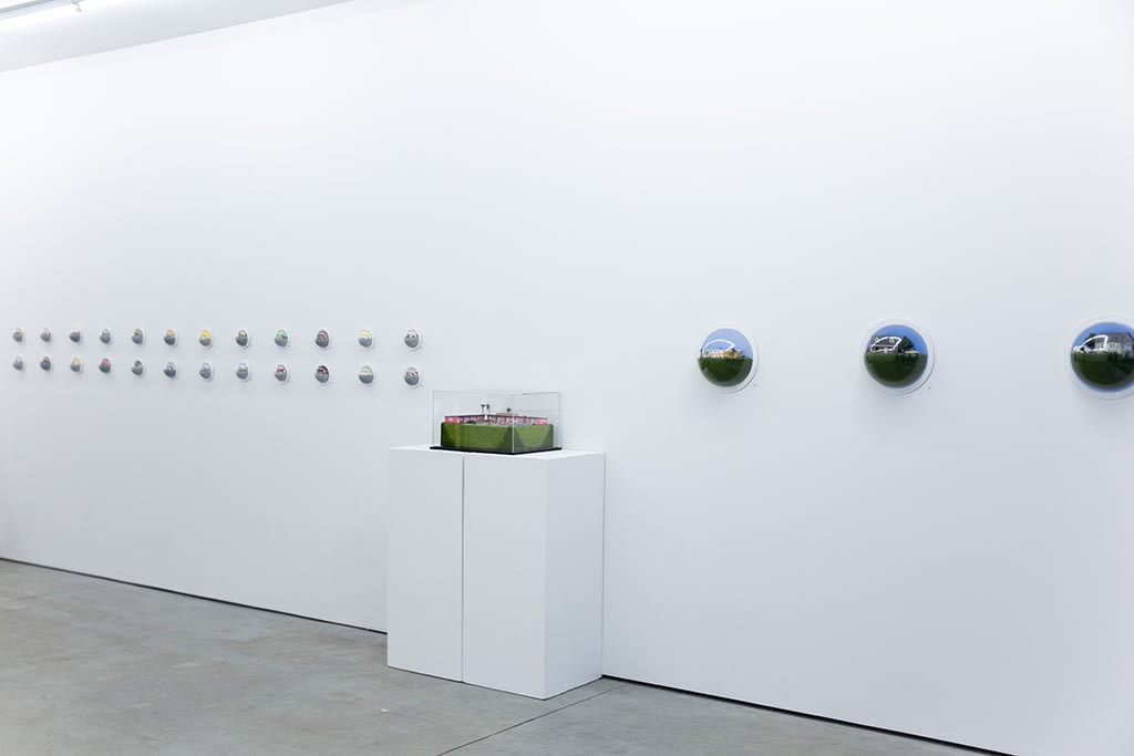 Abigail Goldman installation view