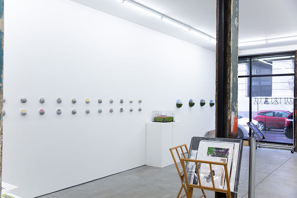 Abigail Goldman installation view