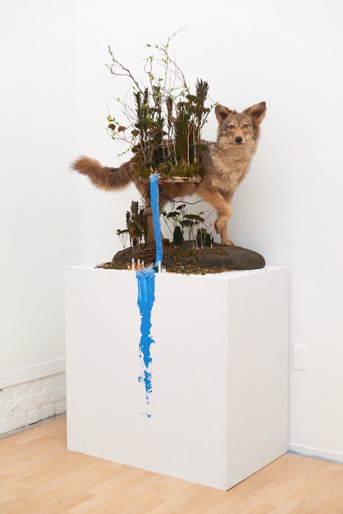 Installation image from Gregory Euclide's  "Preservation Paradox" at Hashimoto Contemporary SF