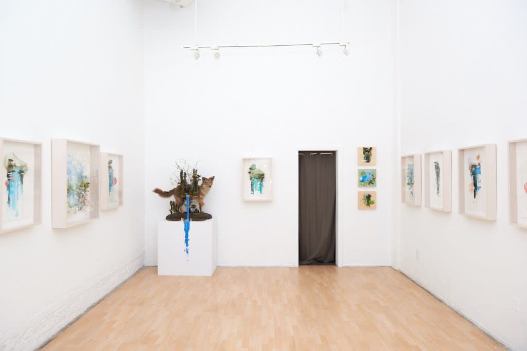 Installation image from Gregory Euclide's  "Preservation Paradox" at Hashimoto Contemporary SF