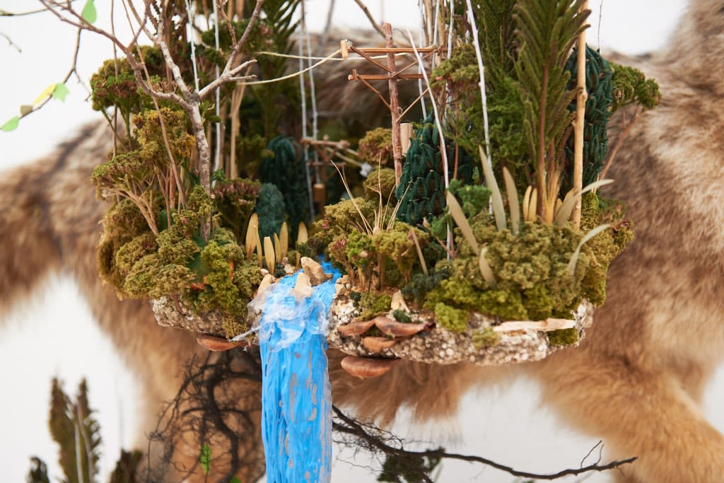 Installation image from Gregory Euclide's  "Preservation Paradox" at Hashimoto Contemporary SF