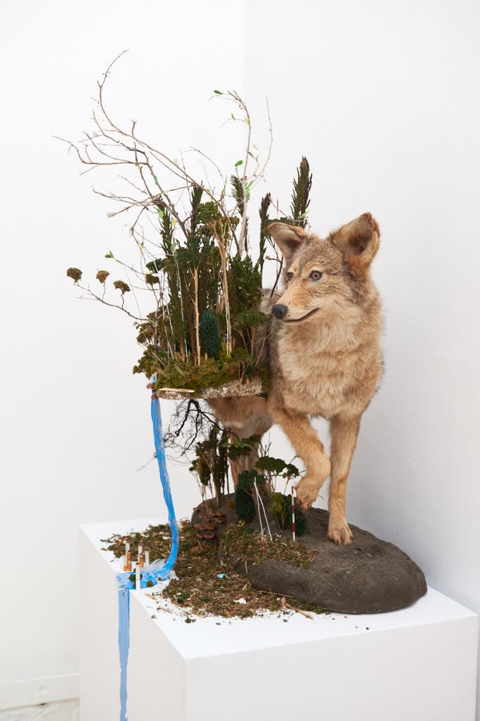 Installation image from Gregory Euclide's  "Preservation Paradox" at Hashimoto Contemporary SF