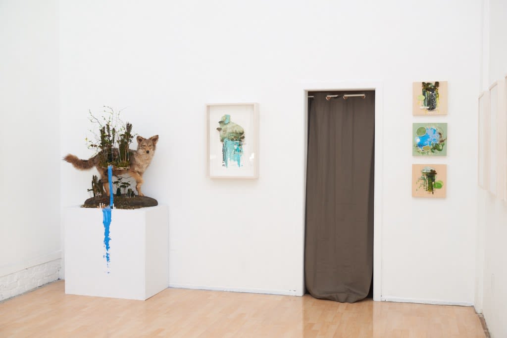 Installation image from Gregory Euclide's  "Preservation Paradox" at Hashimoto Contemporary SF