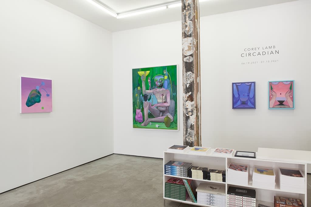 Installation image from Corey Lamb's  "Circadian" at Hashimoto Contemporary NYC