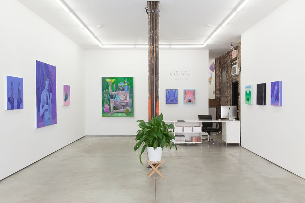 Installation image from Corey Lamb's  "Circadian" at Hashimoto Contemporary NYC