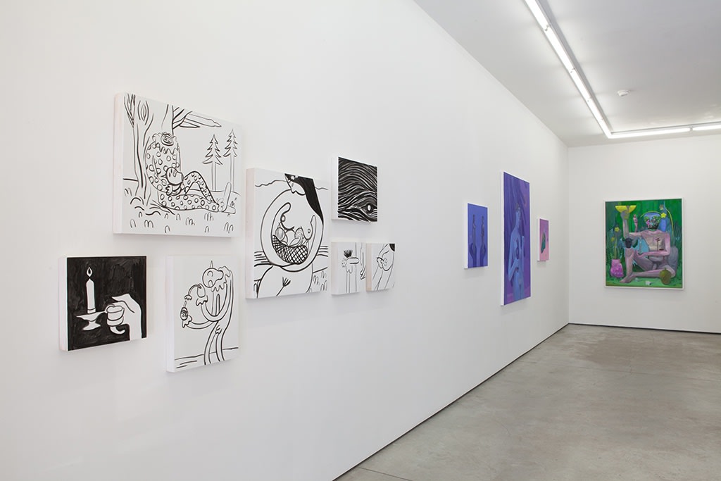 Installation image from Corey Lamb's  "Circadian" at Hashimoto Contemporary NYC