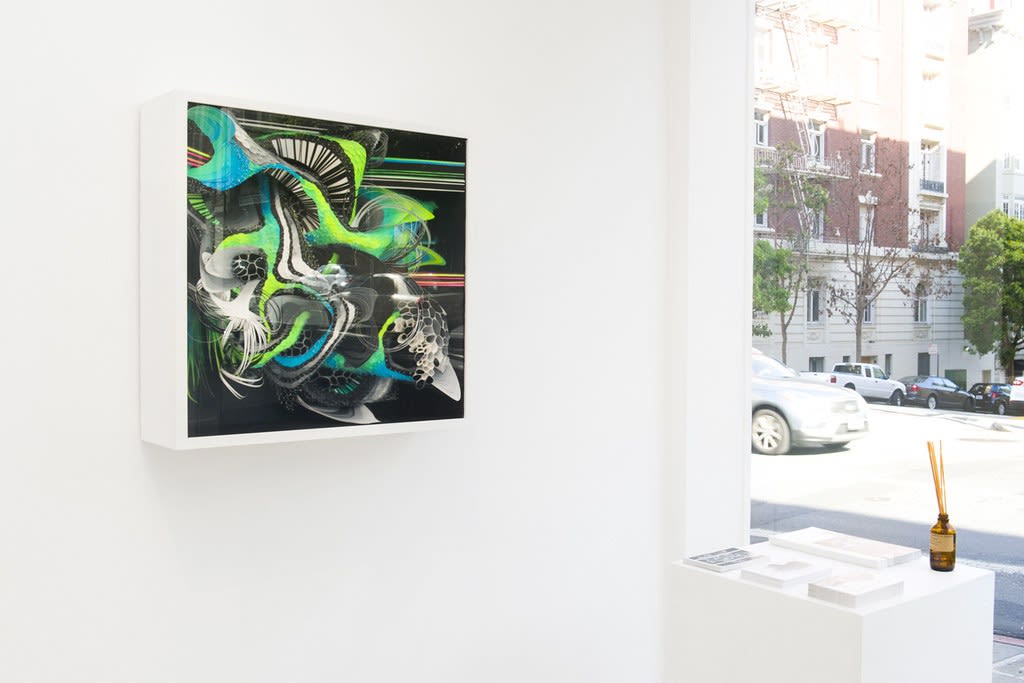 Crystal Wagner 'Microcosm' exhibition installation at Hashimoto Contemporary SF