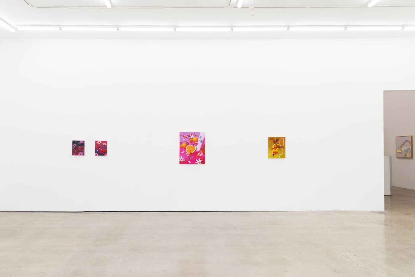 Megan Ellen MacDonald installation view at Hashimoto Contemporary LA