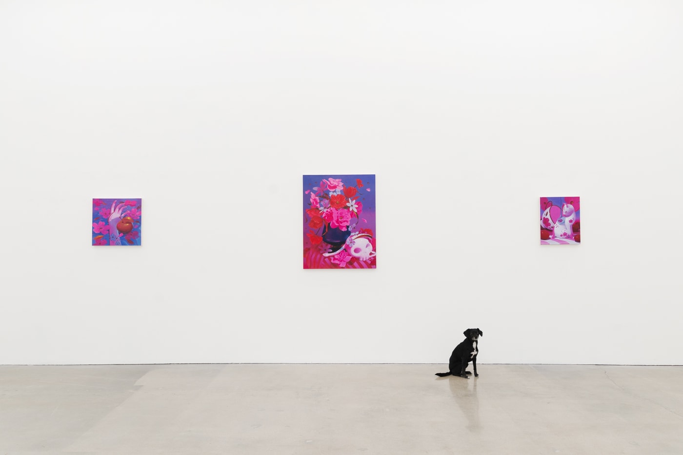 Megan Ellen MacDonald installation view at Hashimoto Contemporary LA