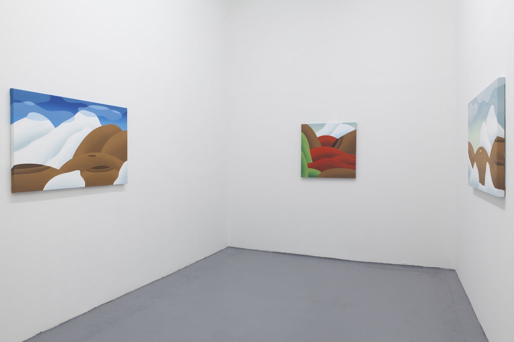 Installation view of Bianca Nemelc solo exhibition at Hashimoto Contemporary NYC