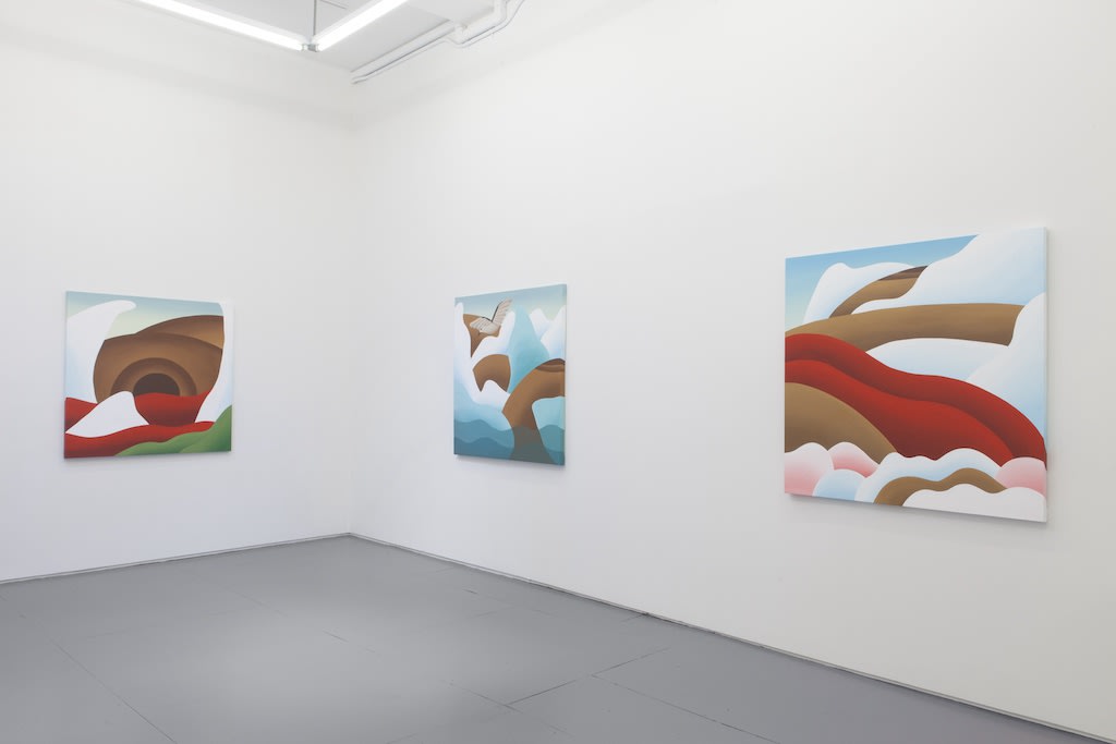 Installation view of Bianca Nemelc solo exhibition at Hashimoto Contemporary NYC