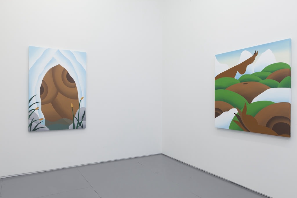 Installation view of Bianca Nemelc solo exhibition at Hashimoto Contemporary NYC