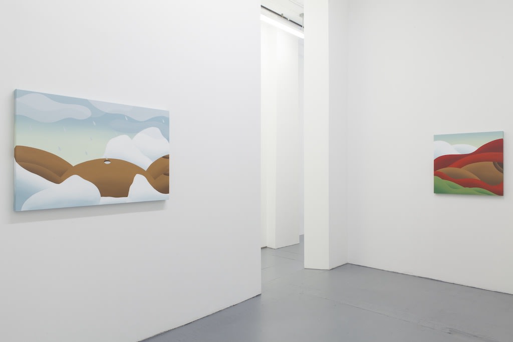 Installation view of Bianca Nemelc solo exhibition at Hashimoto Contemporary NYC