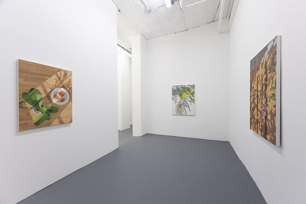 Installation view of Natalia Juncadella's solo exhibition at Hashimoto Contemporary (colorful shadow paintings on white walls)