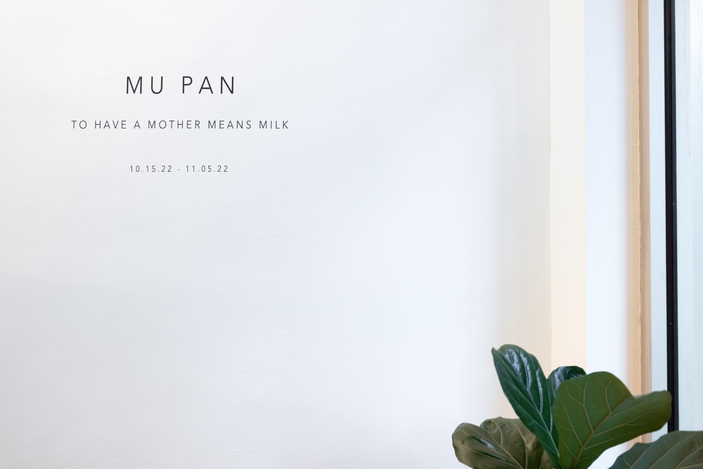 installation shot of Mu Pan exhibition