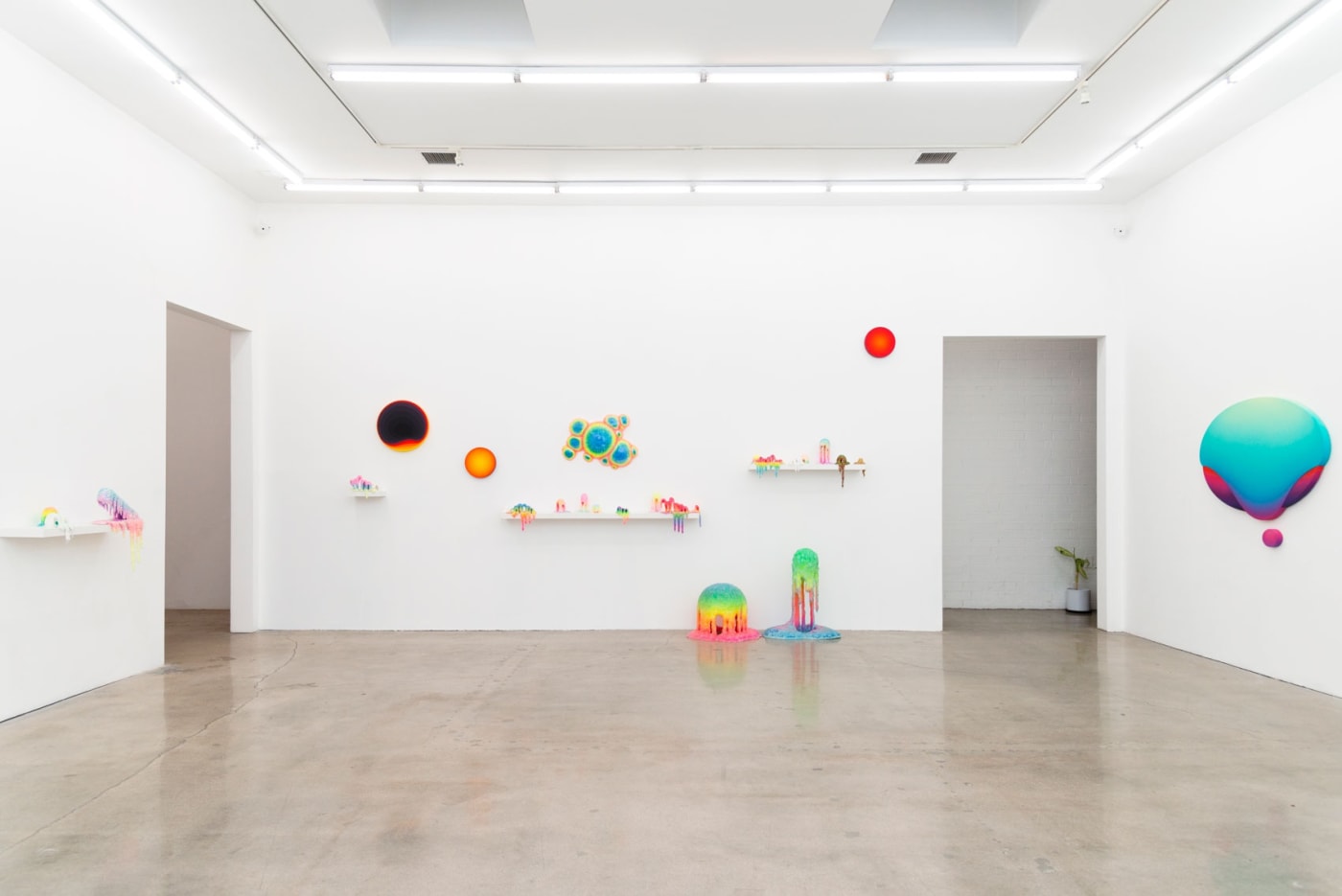 Installation shot of Ripple Effect with works by Dan Lam and Jan Kaláb.