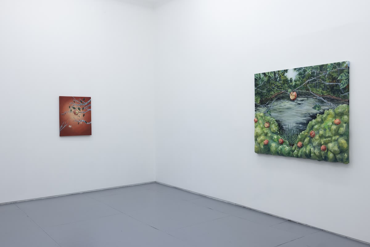 Installation photo from the Nic Dyer Exhibition "BREADCRUMB"