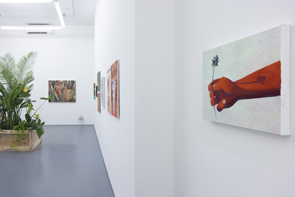 Installation image of the hallway and part of main gallery in the LUSH exhibition