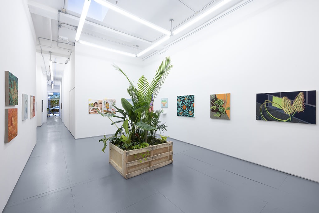 Installation image of main gallery in the LUSH exhibition