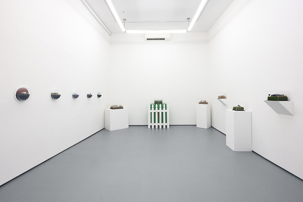 Installation image of Abigail Goldman exhibition "State of Nature"