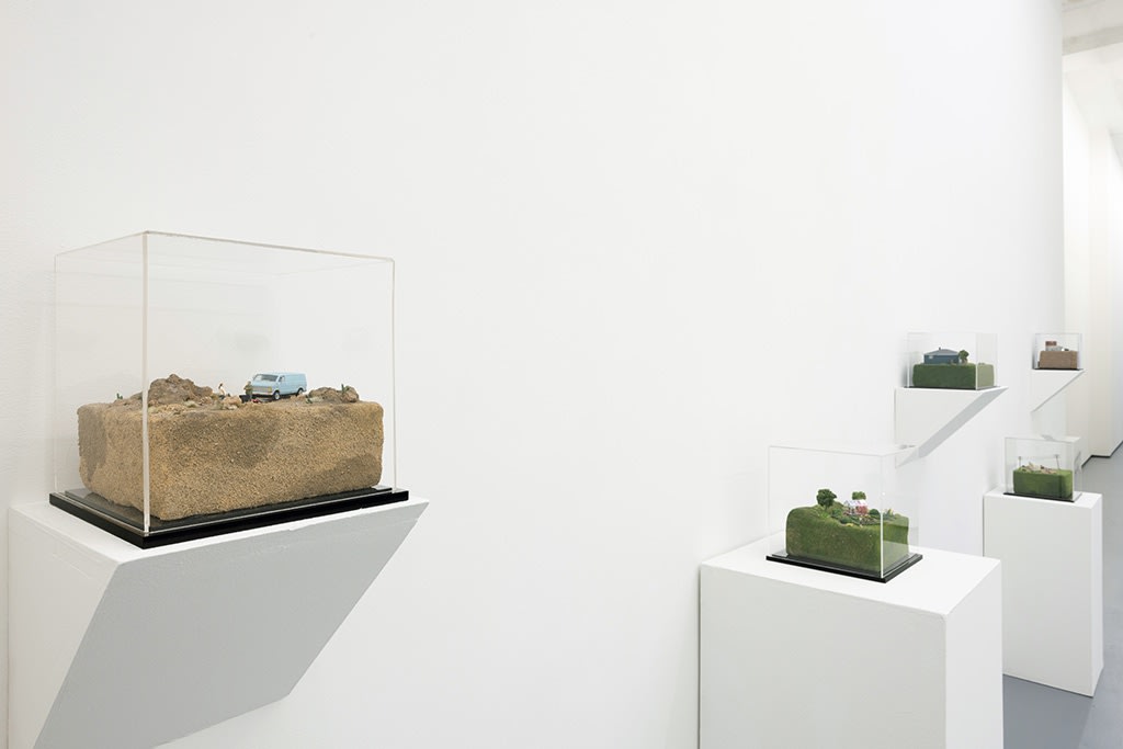 Installation image of Abigail Goldman exhibition "State of Nature"