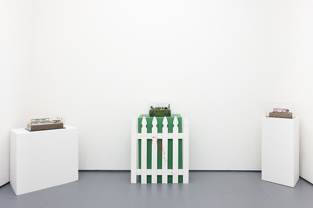 Installation image of Abigail Goldman exhibition "State of Nature"