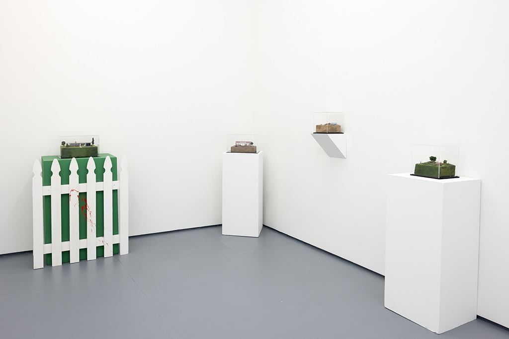 Installation image of Abigail Goldman exhibition "State of Nature"