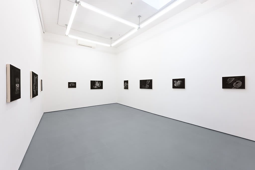 Installation view of Angela Fang Zirbes exhibition "House & Ghosts" featuring greyscale paintings on white walls