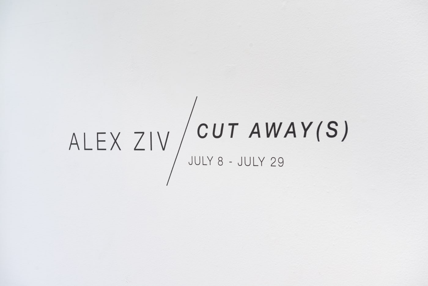 Alex Ziv installation view