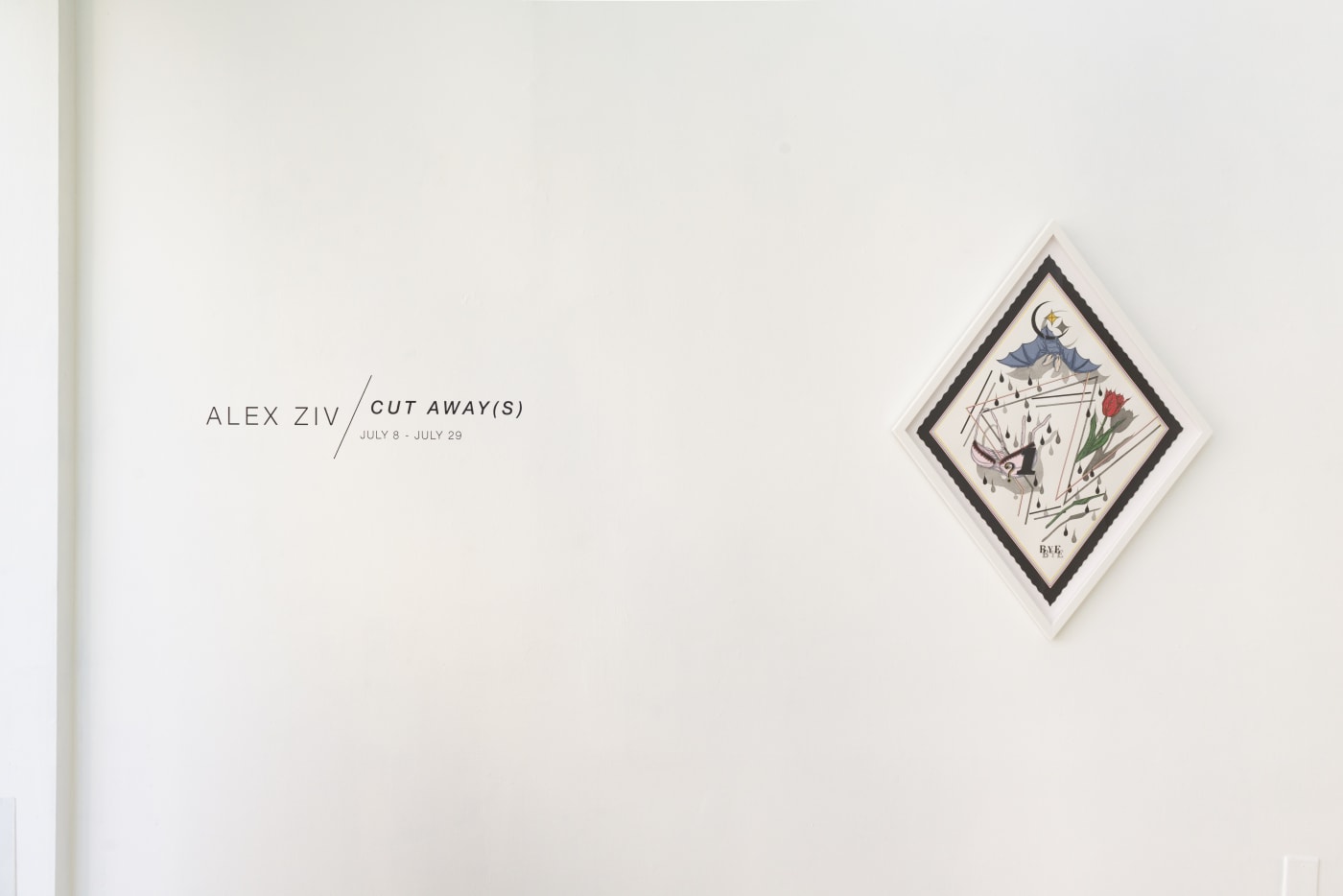 Alex Ziv installation view