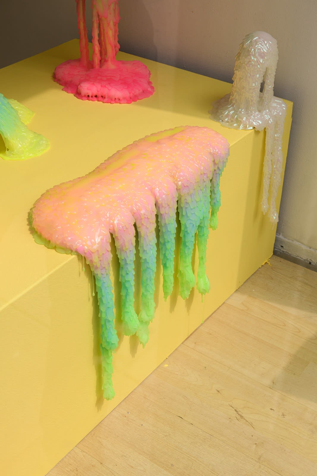 Installation image of Dan Lam's exhibition "Sweet Meats" at Hashimoto Contemporary SF
