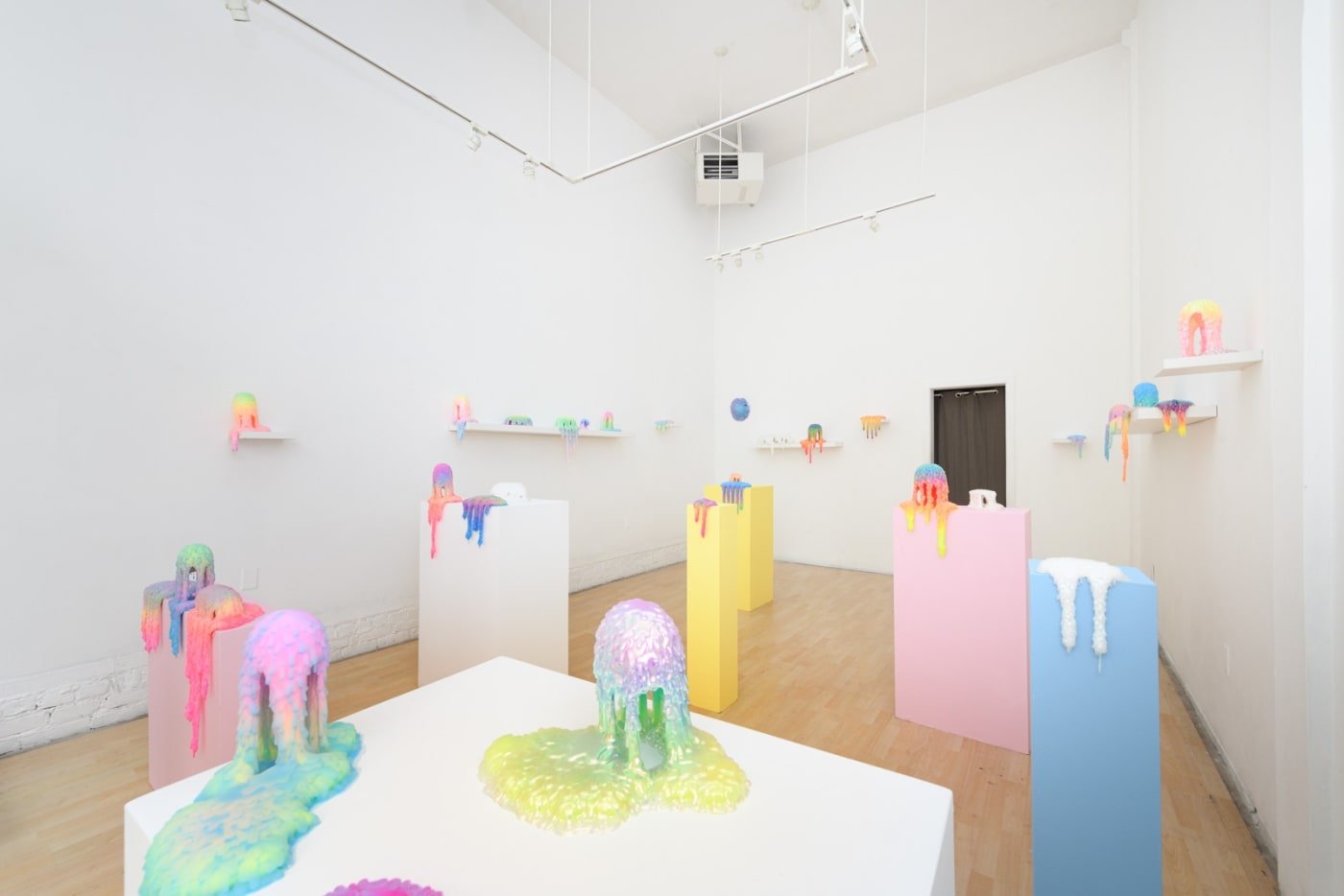 Installation image of Dan Lam's exhibition "Sweet Meats" at Hashimoto Contemporary SF