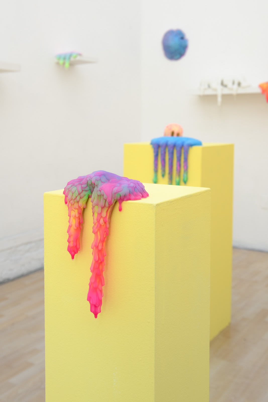 Installation image of Dan Lam's exhibition "Sweet Meats" at Hashimoto Contemporary SF