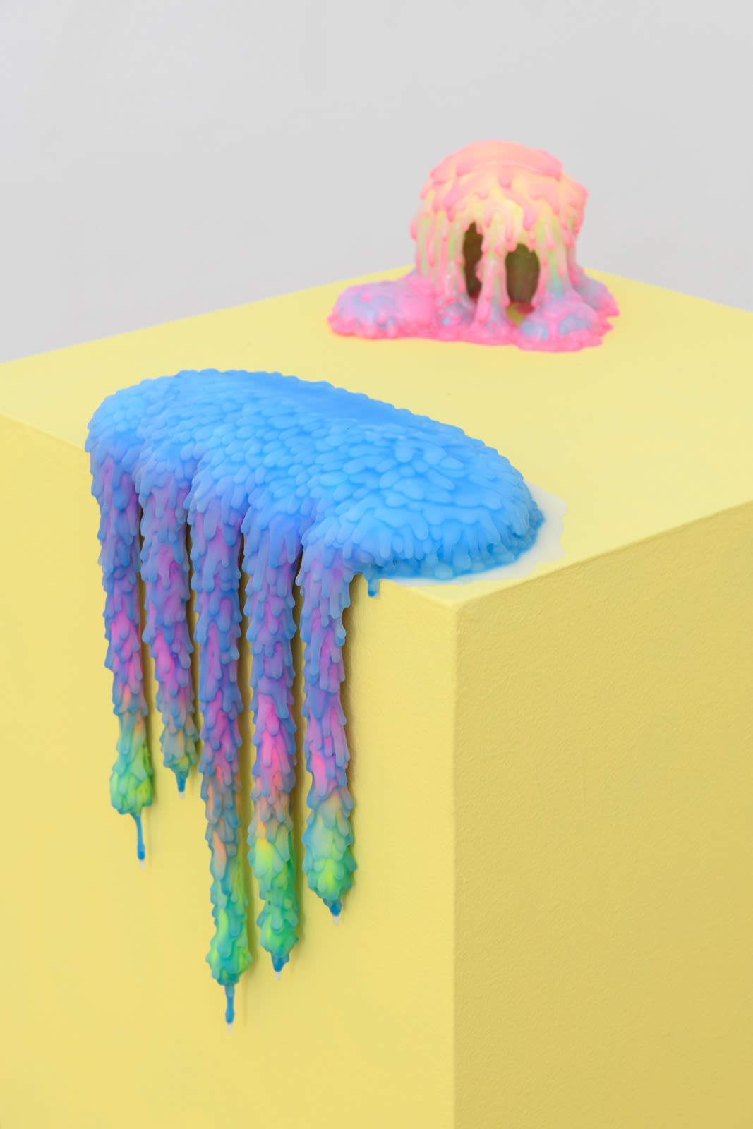 Installation image of Dan Lam's exhibition "Sweet Meats" at Hashimoto Contemporary SF