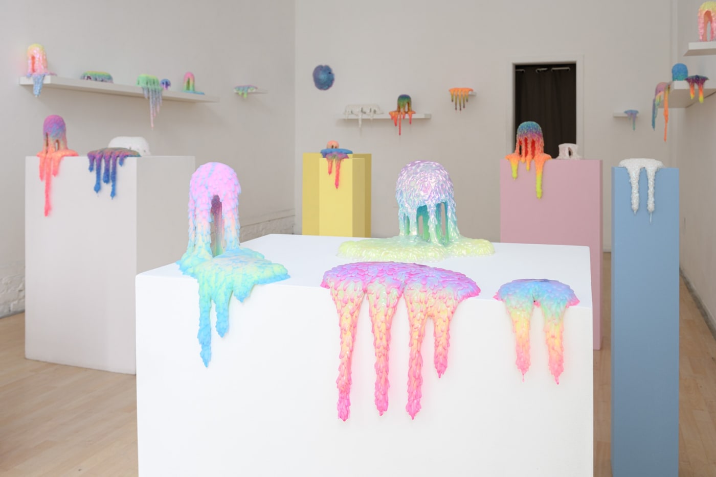 Installation image of Dan Lam's exhibition "Sweet Meats" at Hashimoto Contemporary SF