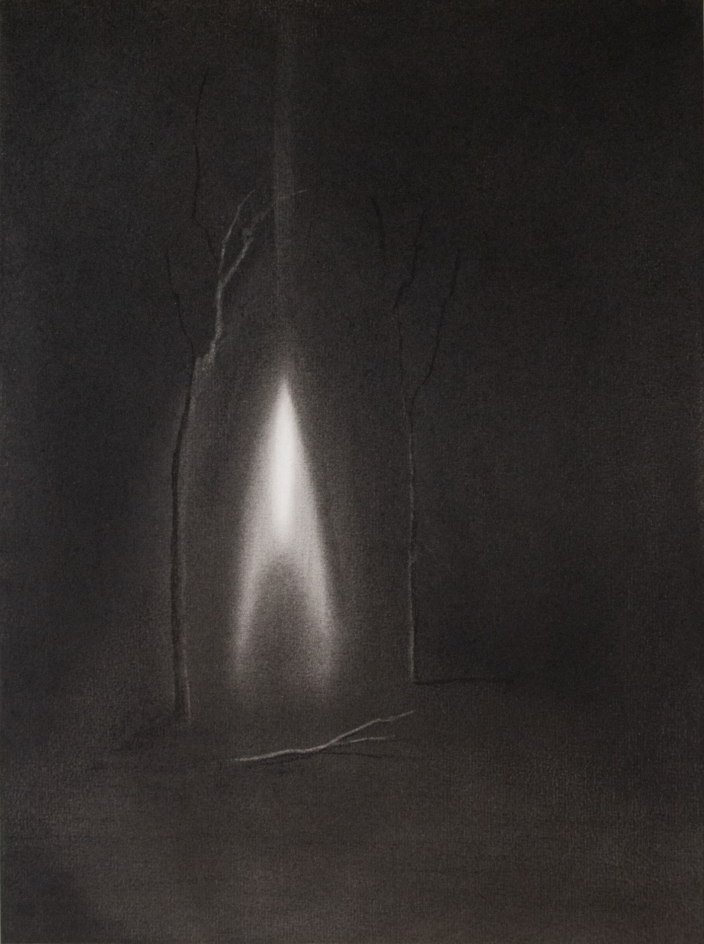 Luminous display #1 by Kevin Vanwontergehem, 2024