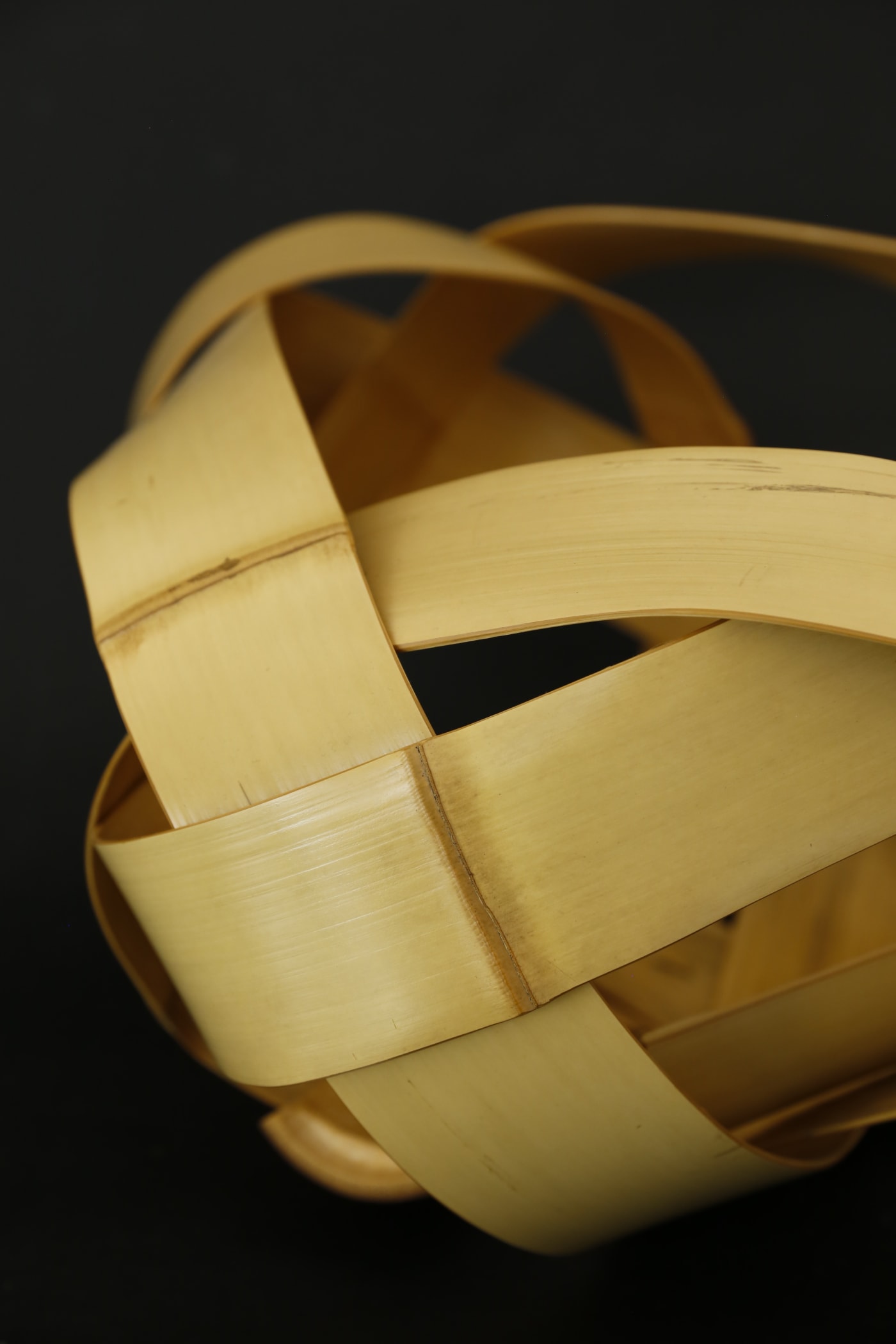 Bamboo Exposed