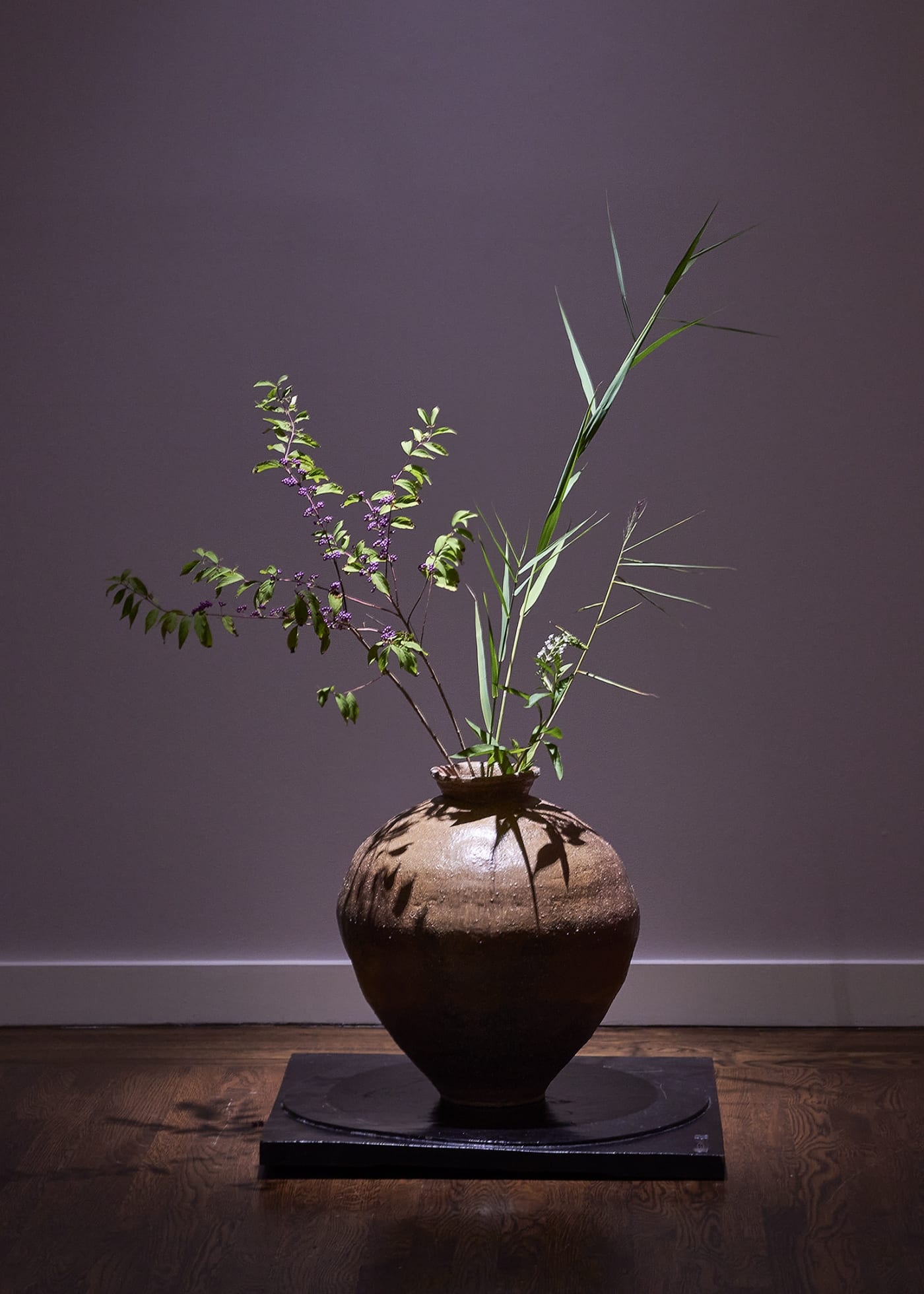 Samsara 輪廻: