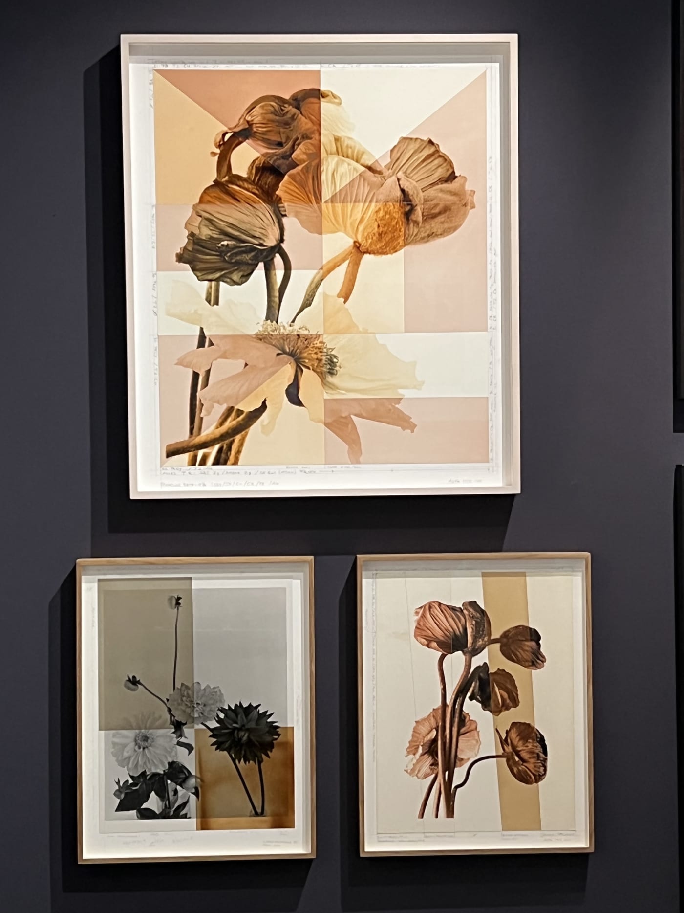 HIGHLIGHTS International Art Fair Munich 2022