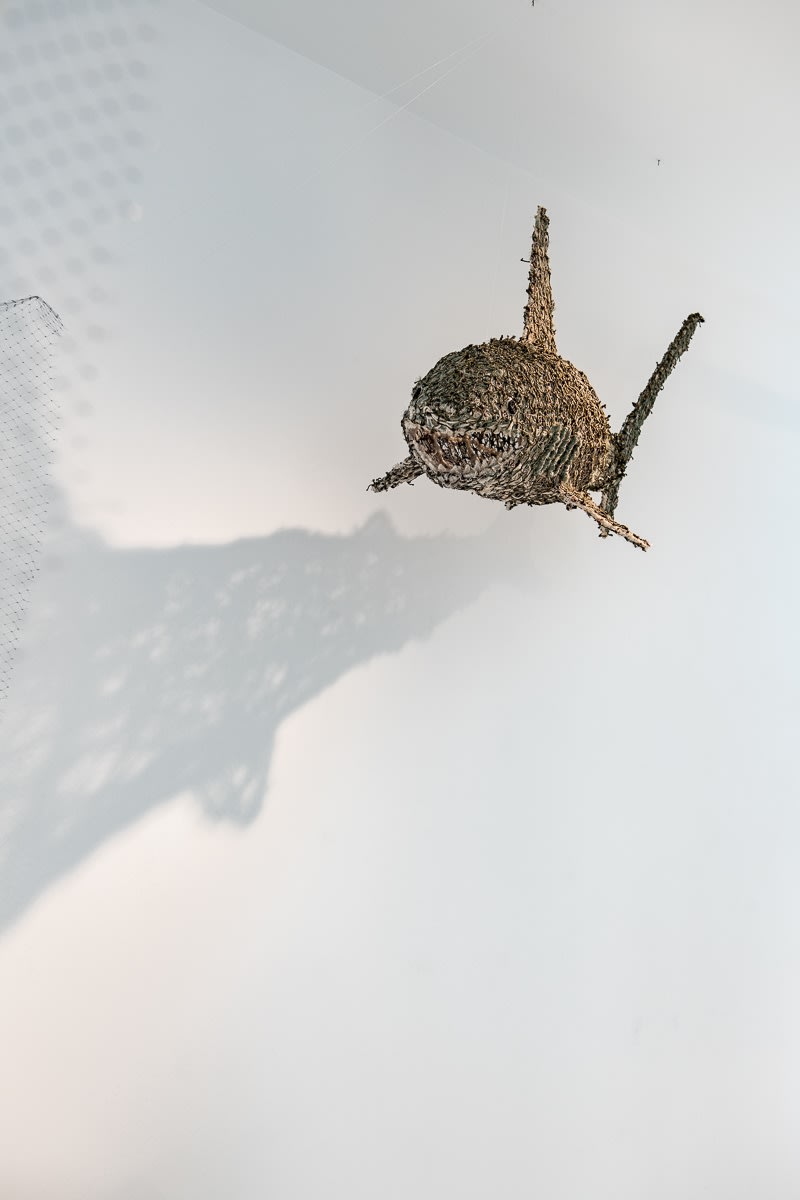Caught in the Net
