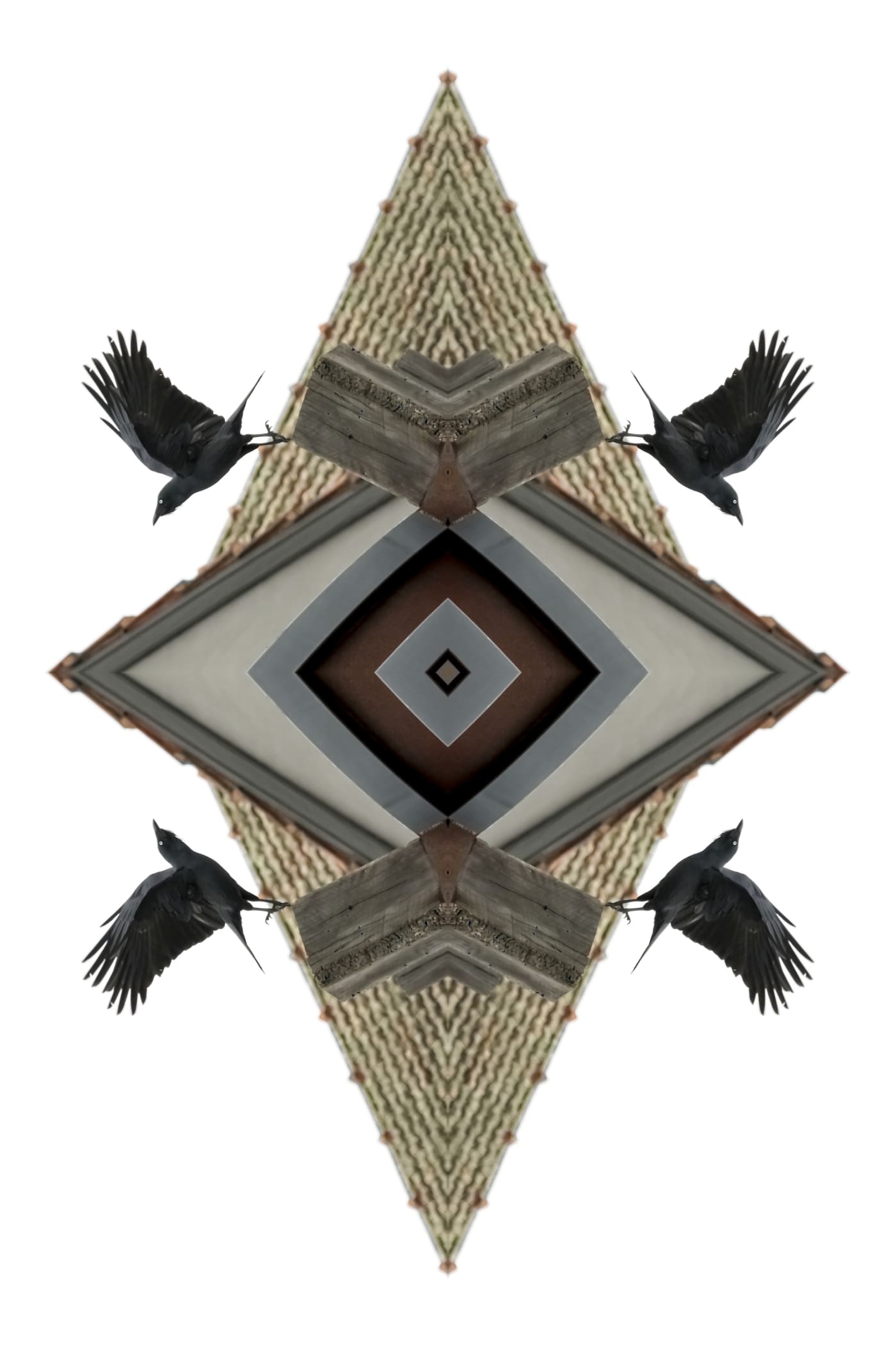 Kent Morris, Crow, 2017