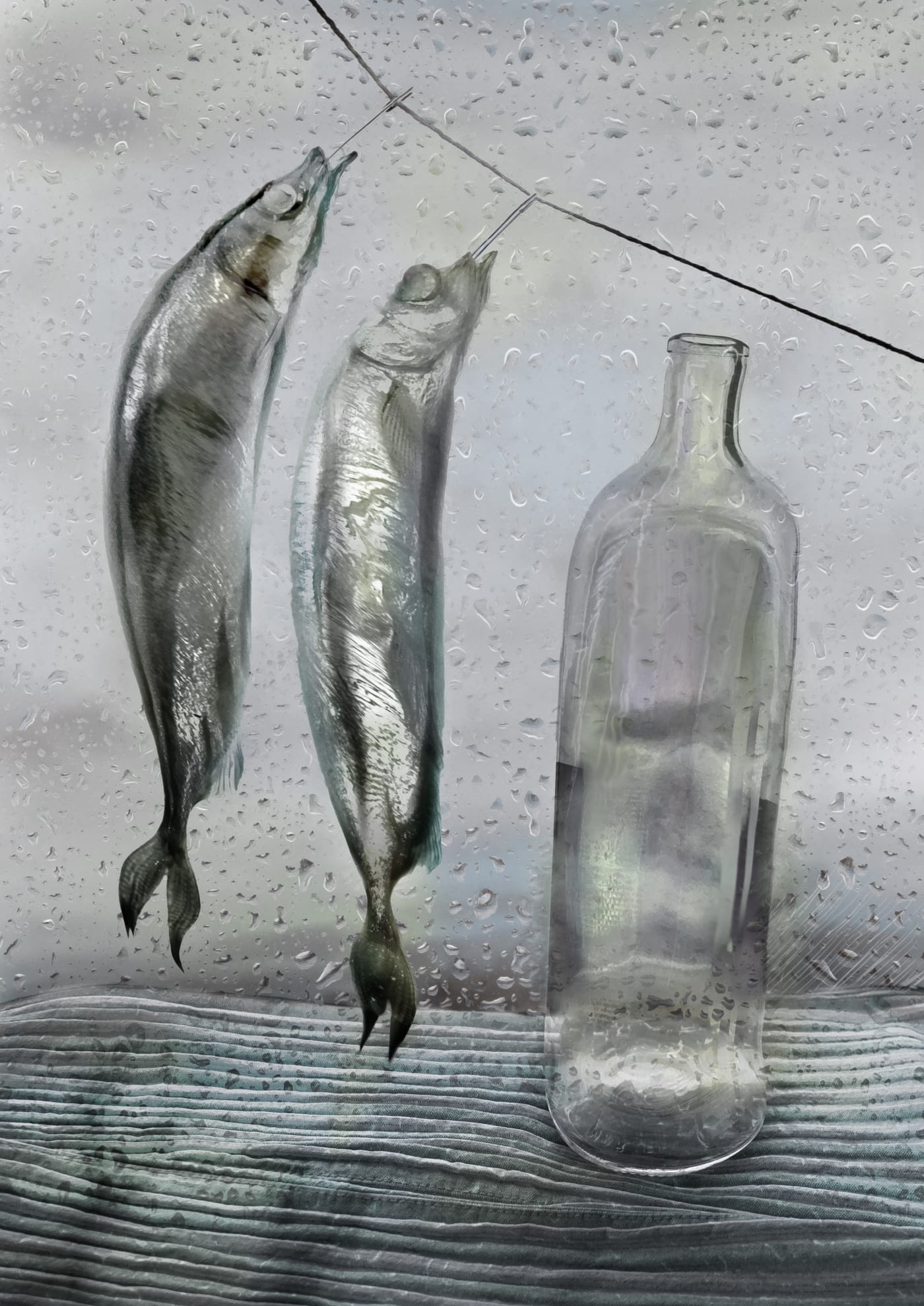 Title: Wind with fishes Year: 2004 Series: Still life