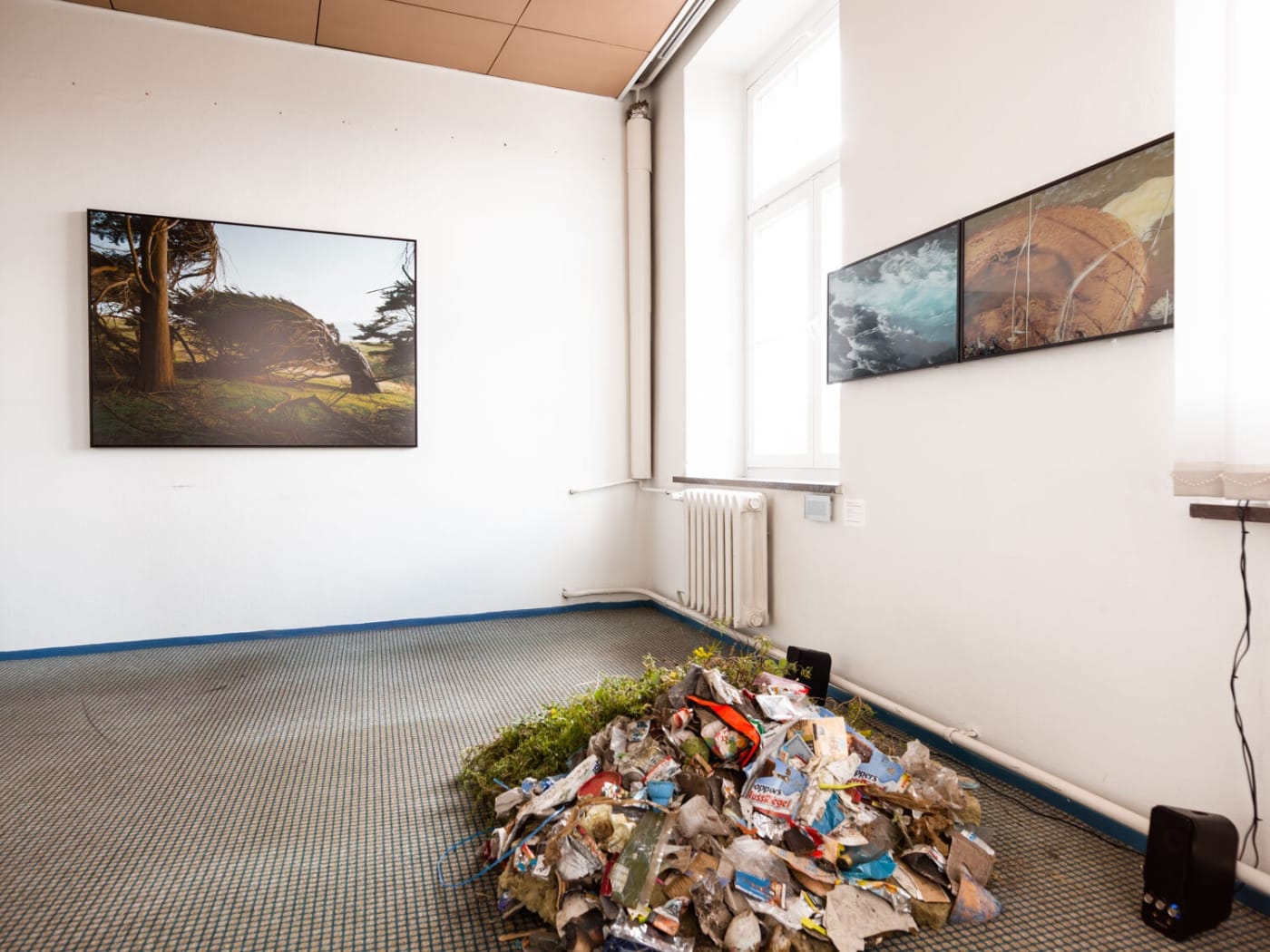 OSTRALE Biennale O19