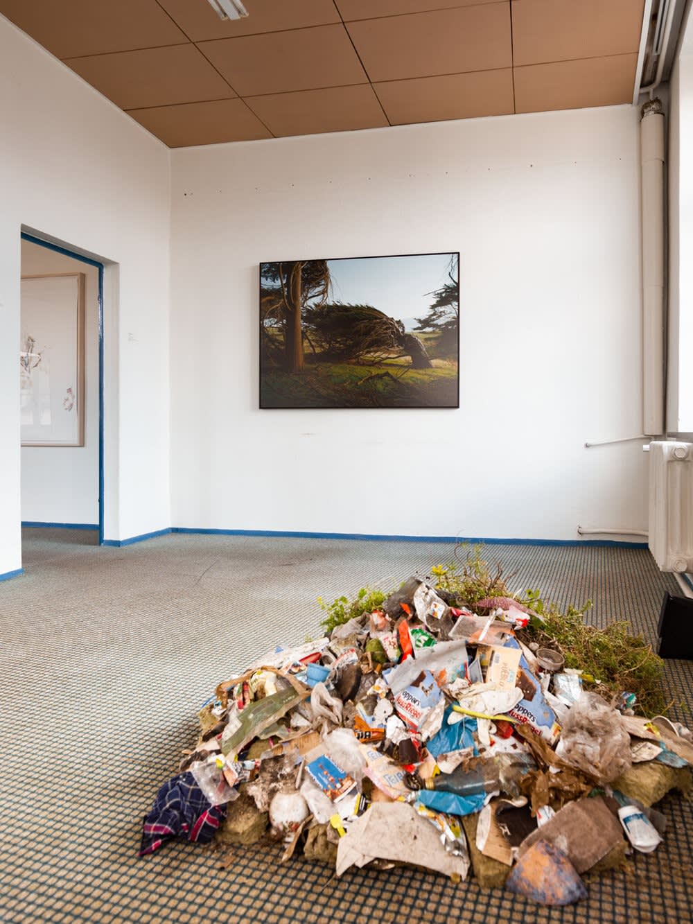 OSTRALE Biennale O19